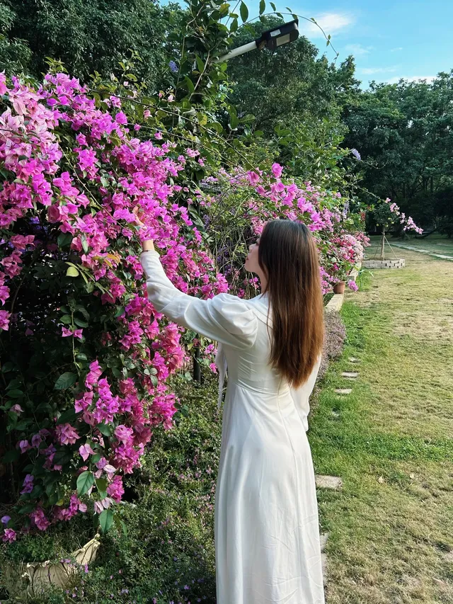 潮州吸氧|橄欖小莊愜意好時光