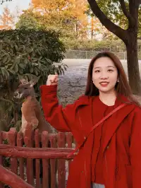 上海野生動物園衝了