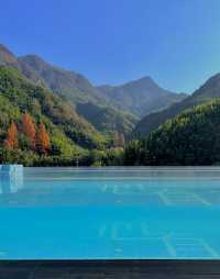 安吉這家神仙民宿太絕了！推窗就是整片竹海