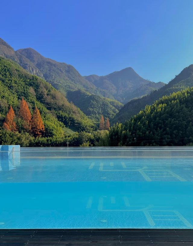 安吉這家神仙民宿太絕了！推窗就是整片竹海