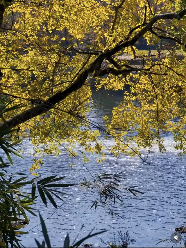 暖冬徒步|岸上九曲漫遊道 暖冬徒步|岸上九曲漫遊道