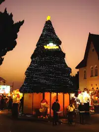 一篇告訴你！半天拍青島個超火聖誕打卡地