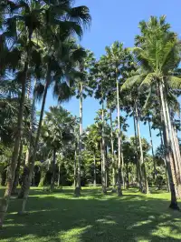 自駕第二十站｜西雙版納