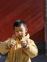 上海出發 帶娃賞秋棲霞山