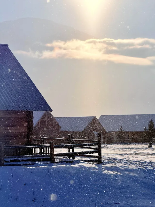 11.28喀納斯+禾木現狀性價比拉滿冬日童話