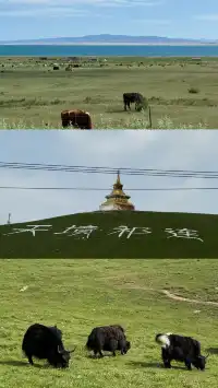 去大西北吧!把靈魂丟進曠野裡