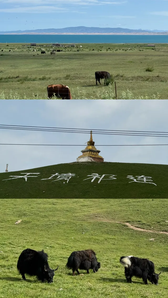 去大西北吧!把靈魂丟進曠野裡 去大西北吧!把靈魂丟進曠野裡