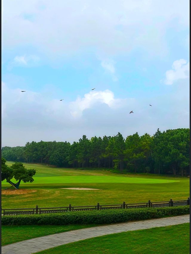 鐘山國際高爾夫酒店：挑戰與優雅的完美結合