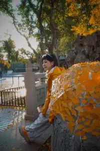 虞山方塔園|八百年銀杏|最佳觀賞期