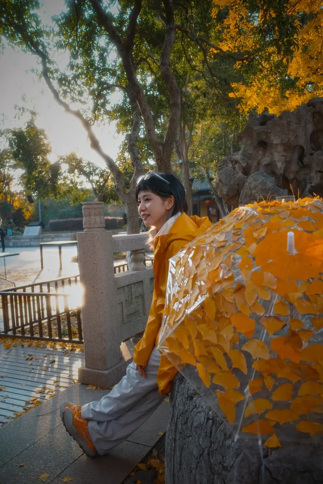 虞山方塔園|八百年銀杏|最佳觀賞期 虞山方塔園|八百年銀杏|最佳觀賞期