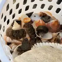 北海兩日遊攻略（不上島版）