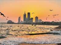 青島棧橋拍海鷗大片