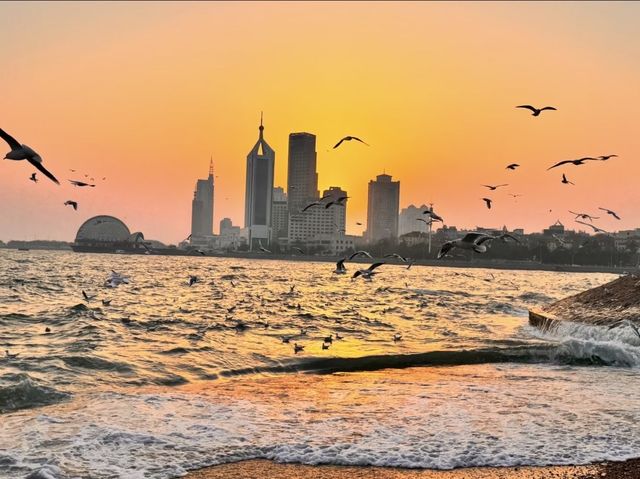 青島棧橋拍海鷗大片 青島棧橋拍海鷗大片