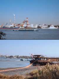 魔都秋日私藏共青森林的治癒漫遊手記