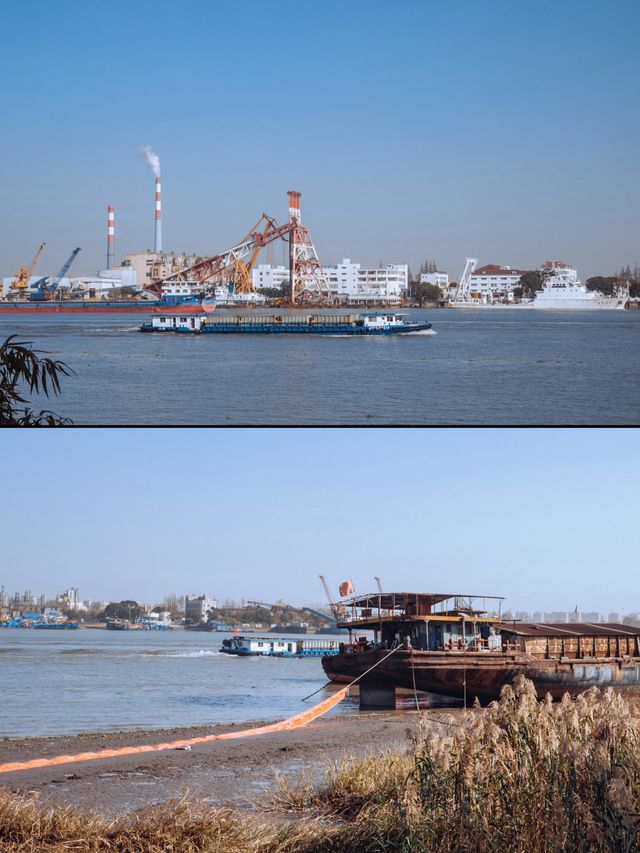 魔都秋日私藏共青森林的治癒漫遊手記