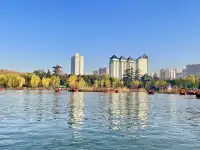 西安興慶宮｜在皇家園林裡接住最後一捧銀杏