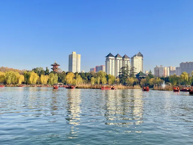 西安興慶宮｜在皇家園林裡接住最後一捧銀杏