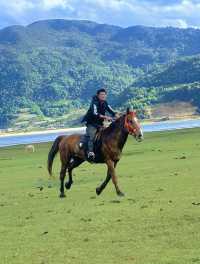 美得不像話雲南麗江也有自己的阿勒泰