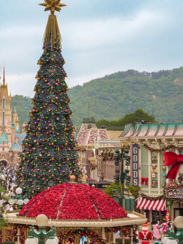 The Ultimate Hong Kong & Macau Christmas Photo Hunt Guide! 🎄✨ The Ultimate Hong Kong & Macau Christmas Photo Hunt Guide! 🎄✨