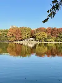 長沙賞秋超全攻略|看萬山紅遍,層林盡染