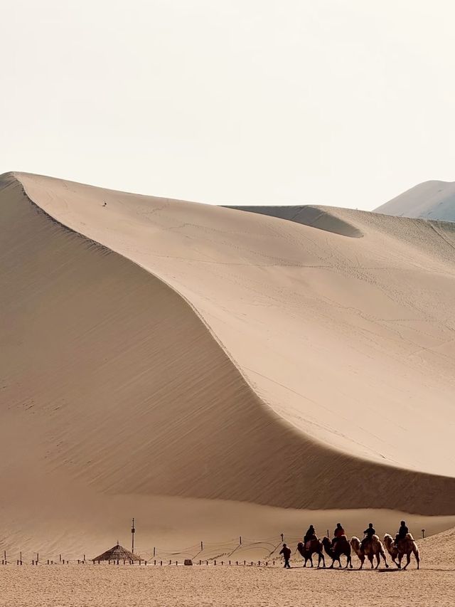 中國最孤獨的孩子—大地之子! 中國最孤獨的孩子—大地之子!