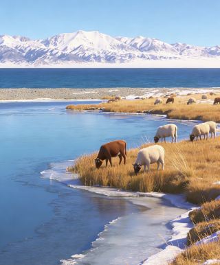 Sayram Lake's hardships are over, here’s my real experience