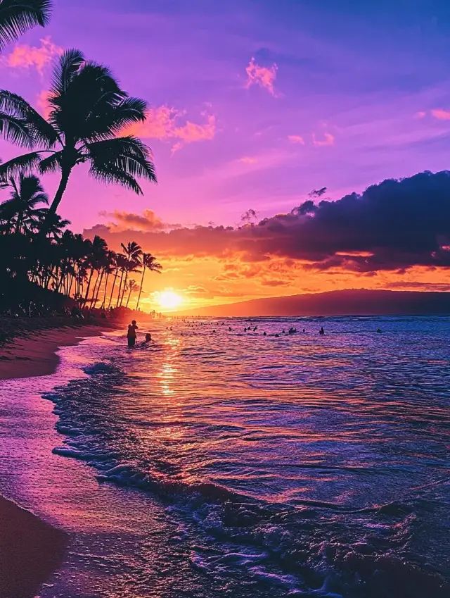 Miami's peak tourist season is here! ☀️