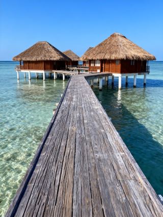 Maldives Family Relaxation! Stunning Sea Views on Local Islands with Great Value