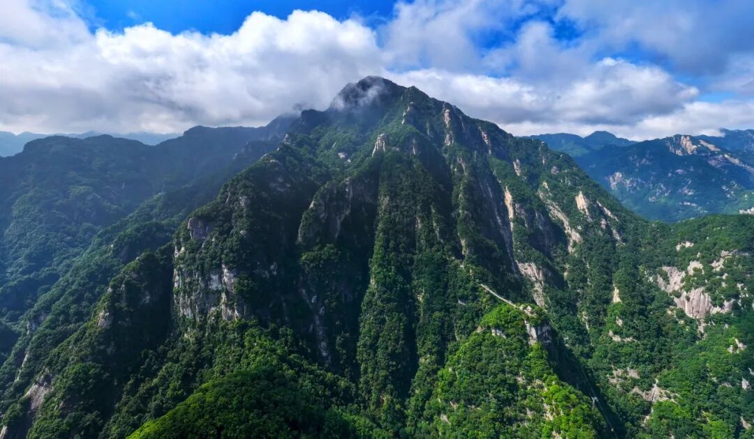三門峡甘山の春のハイキング