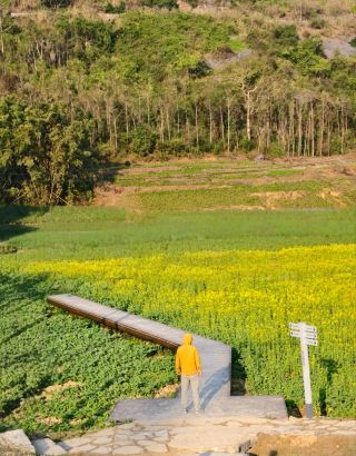 Taizhou March-April Off-the-Beaten-Path Spring Travel Guide｜2 Secluded Spots for a Jiangnan Spring Flower Date
