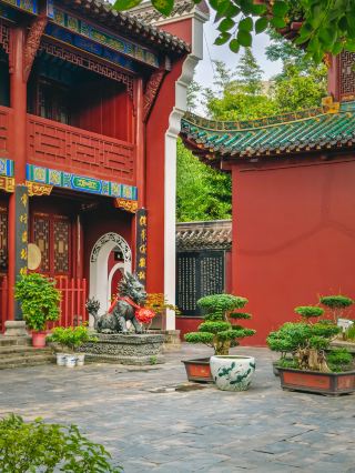 Wuhan Changchun Temple. It’s said that visiting brings good luck for the whole year