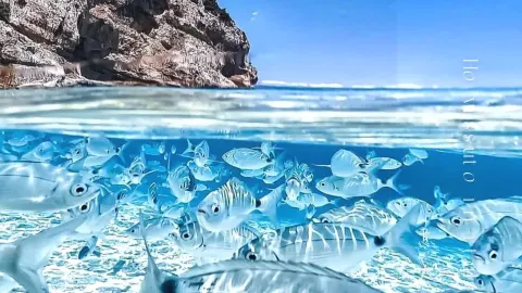 Italy’s 5 most stunning beaches! These breathtaking coastlines are amazing — traveler post in Tropea