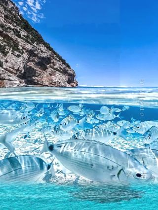 5 ชายหาดที่สวยที่สุดของอิตาลี! ชายฝั่งที่งดงามเหล่านี้ช่างน่าทึ่งจริงๆ