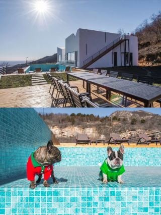 계주 삼림 속 야생 럭셔리 여행