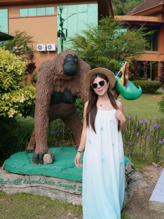 Must-visit in Kuching | A detailed guide to the Semenggoh orangutan conservation center