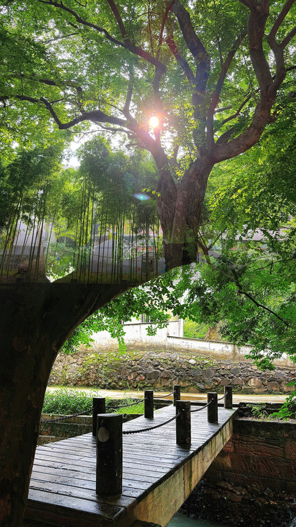 深溪岕村·山介咖啡(800年古村) 参考图 4