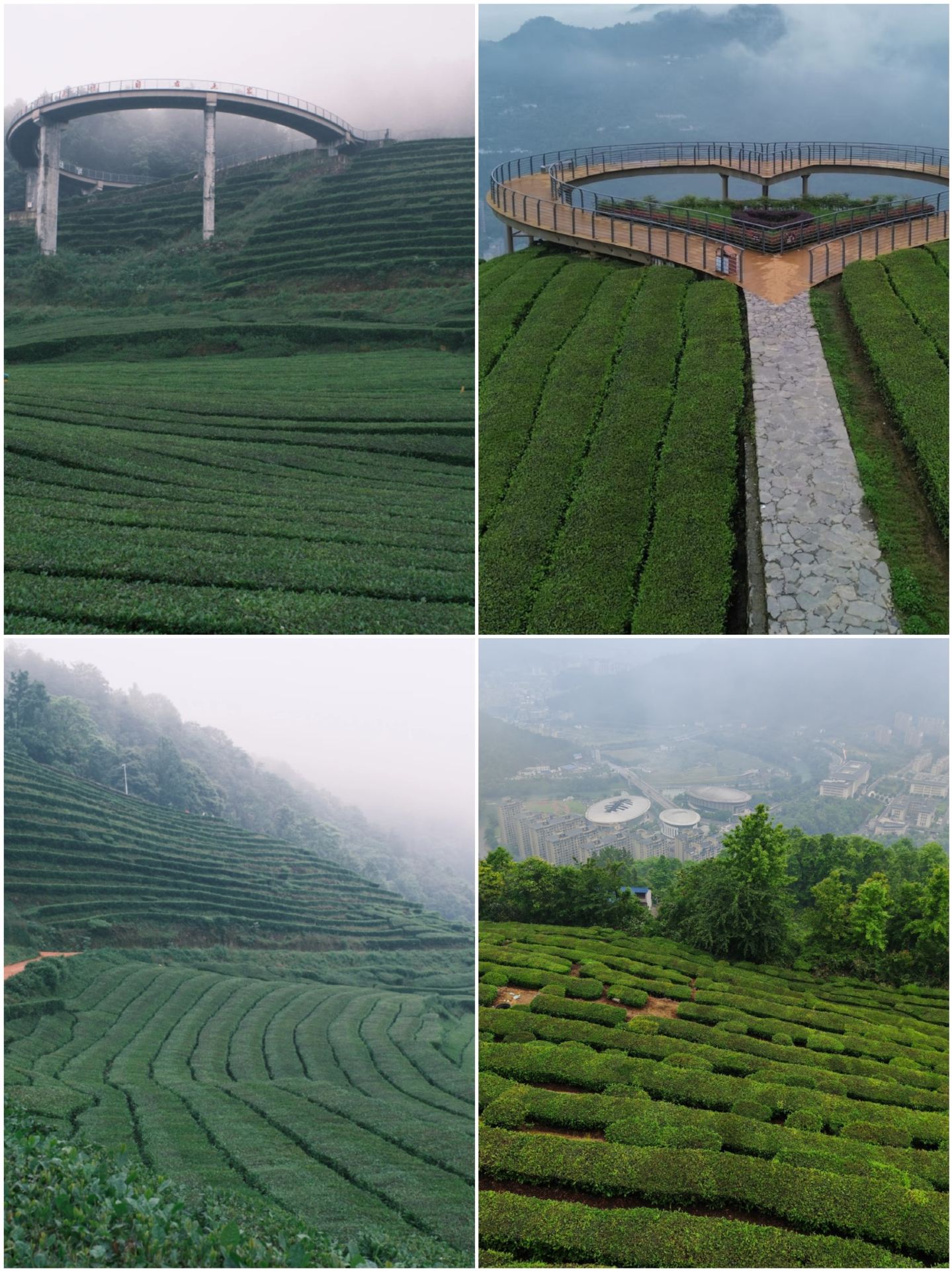 Wufeng, Yichang: Một điểm đến nghỉ hè mát mẻ và sảng khoái.