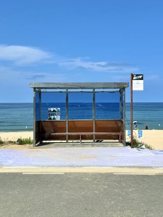 If you're visiting Seoul, be sure to set aside a day to see the ocean in Gangneung 🌊