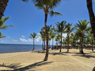Fantastic Stay with Swim-Up Room, Great Food, and Exceptional Service