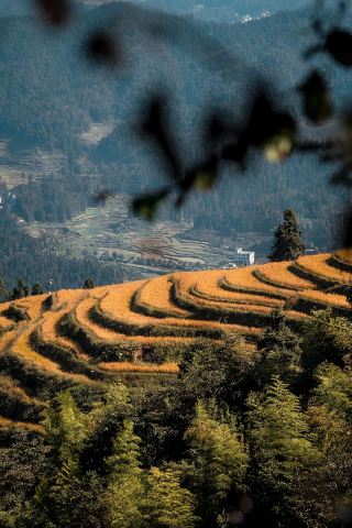 Zhenglong Ancient Village in Hunan is a stunning hidden gem! The rice paddy wood carvings are so photogenic