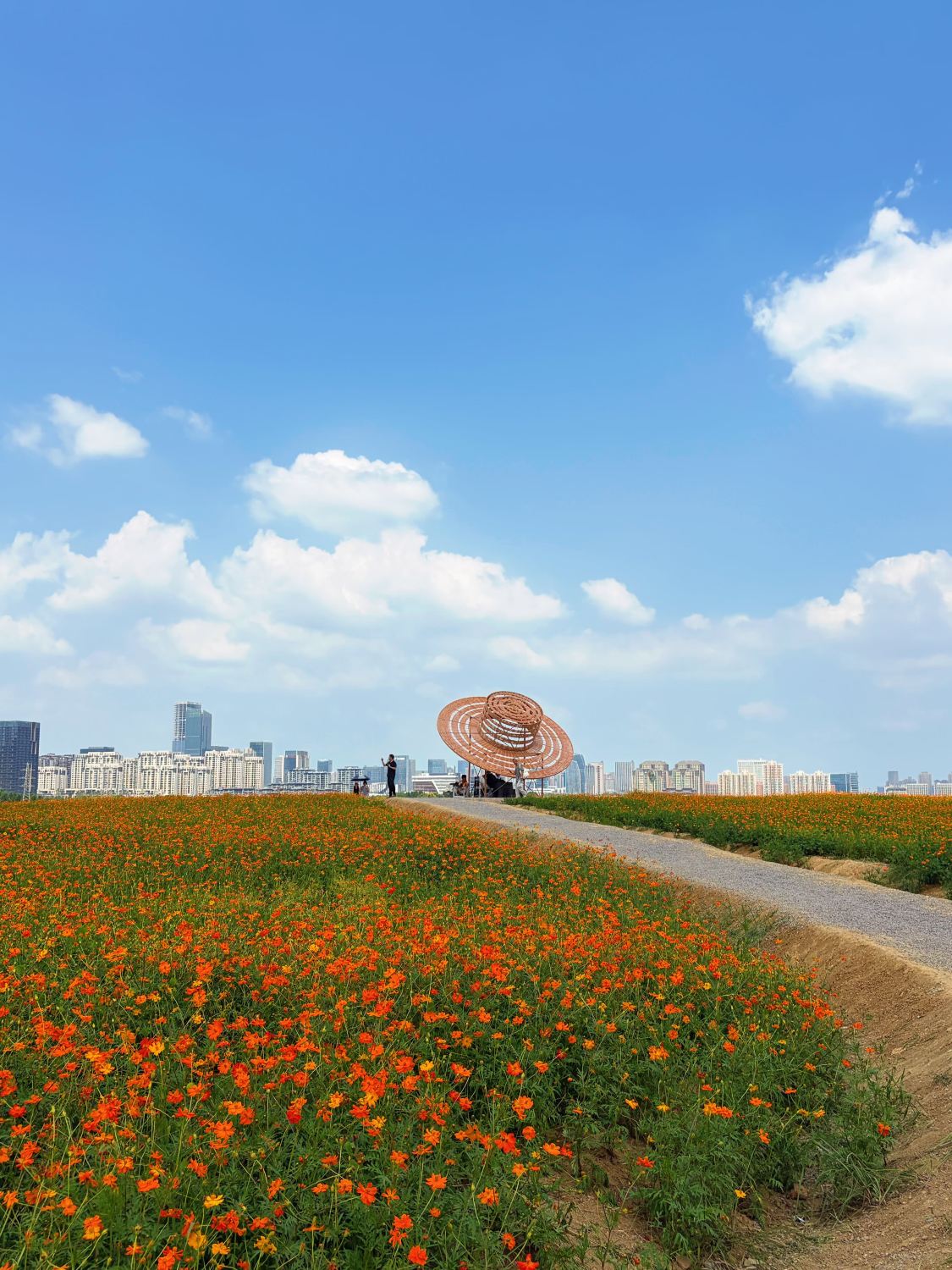 北雁湖のオレンジ色の花畑を現地で撮影、花見ガイド付き | Trip.com 合肥