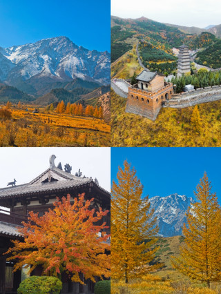 賞秋別去人擠人!這4個反向旅遊寶地才是真·秋日天花板