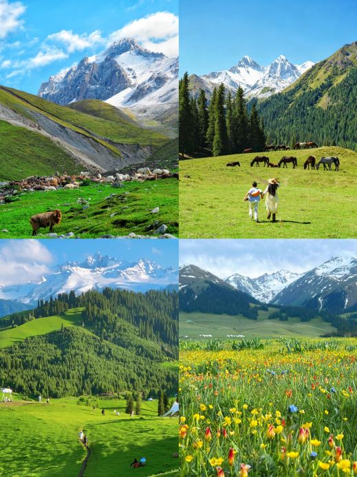 4 Must-Visit Study Tour Destinations for Kids | Bringing Textbook Landscapes to Life