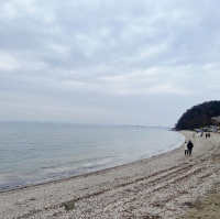 당일치기 대부도 투어