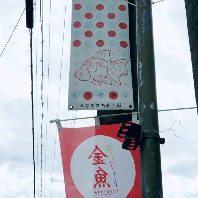 奈良隱藏景點，郡山金魚之都