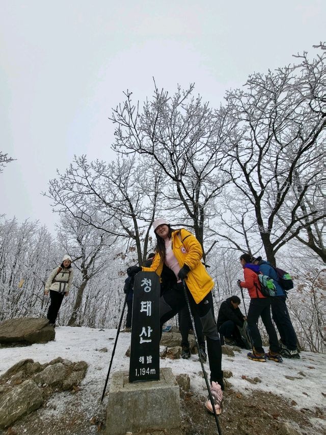 청태산자연휴양지