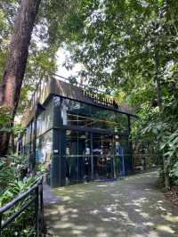 The Habitat Penang Hill 🍃🌲