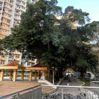黃大仙下邨內嘅龍趣園何鴻燊公園
