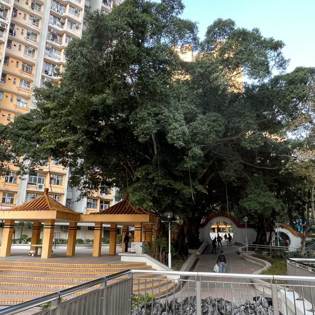黃大仙下邨內嘅龍趣園何鴻燊公園
