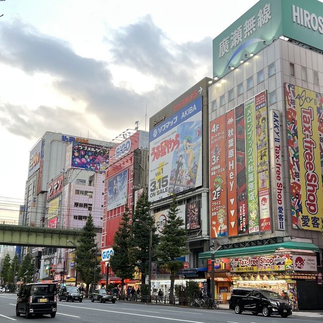 Electric town at Akihabara 